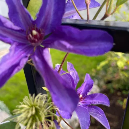 Apartmán Sommerdrom I Sor *