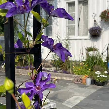 Apartmán Sommerdrom I Sor Mandal