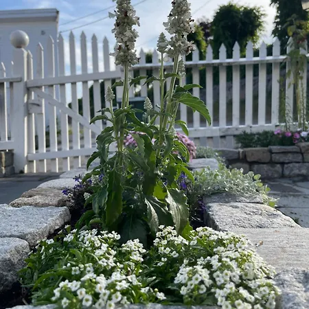 Lejlighed Sommerdrom I Sor *