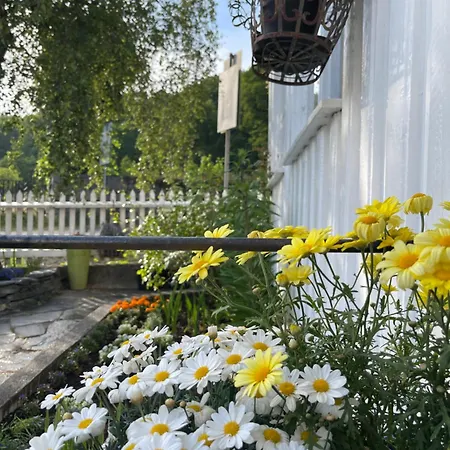 Leilighet Sommerdrom I Sor *