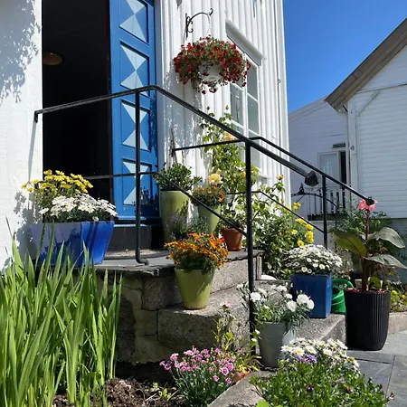 Sommerdrom I Sor Apartmán *