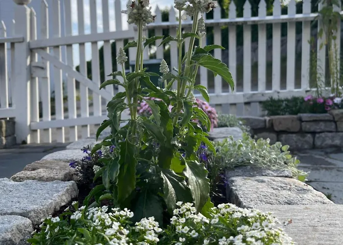 Appartement Sommerdrom I Sor *