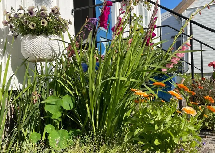 Sommerdrom I Sor Mandal