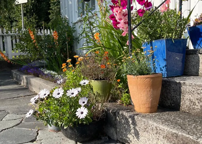 Sommerdrom I Sor * Mandal