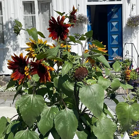 Sommerdrom I Sor * Mandal