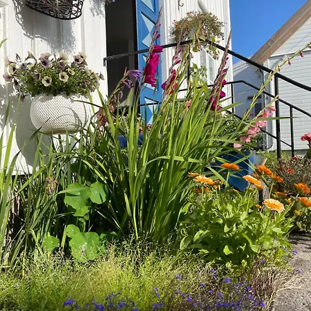 Sommerdrom I Sor Mandal