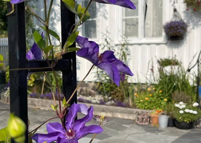 Апартаменты Sommerdrom I Sor Мандал