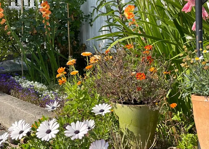 Sommerdrom I Sor Апартаменты