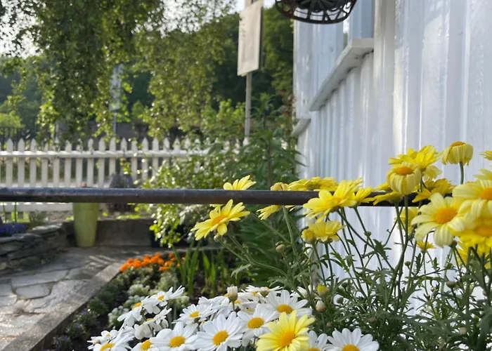 Апартаменты Sommerdrom I Sor *